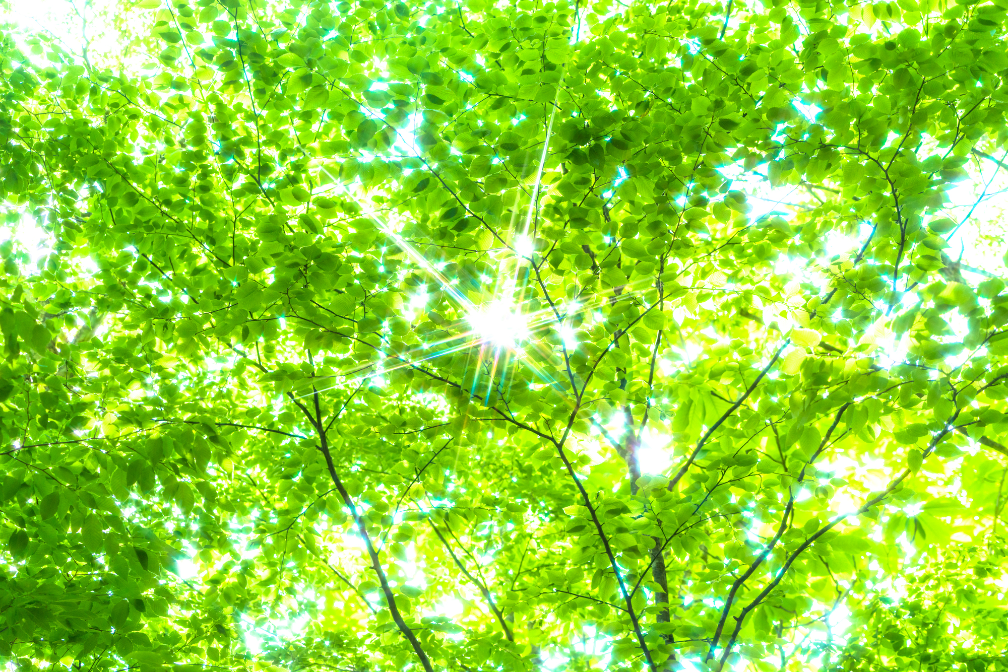 27卒採用、5月はもう遅い？今こそ強化したい1to1採用アプローチ【27卒編】