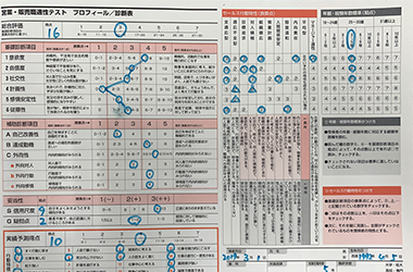 DSI 営業・販売職適性テスト活用マニュアル ダイヤモンド社 DSI.jpg